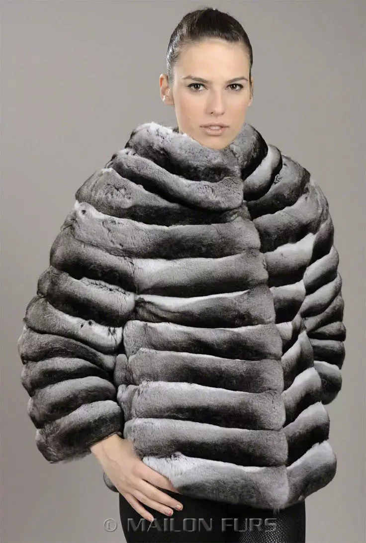Shinchilla кожено палто (91 снимки): колко е бял, кафяв, нарязан, какво палто на чинчила, трикотаж, ревюта 759_9