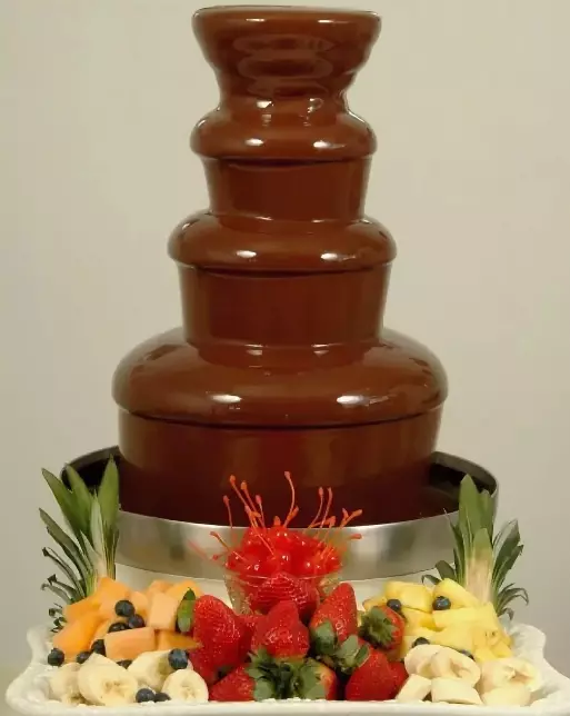 Чоколадо за чоколадна фонтана: Што е соодветно и како да го користите? Белгиско чоколадо, а другиот. Што е подобро да се избере и како тоа треба да биде? 7607_24