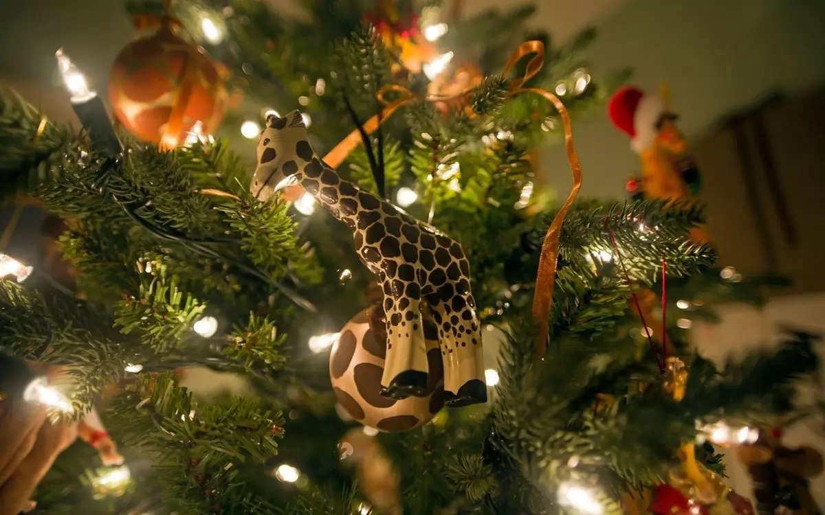 איך להתלבש עץ חג המולד מסוגנן? 56 תמונה מה לקשט יפה את עץ חג המולד בצבע לבן וגם אחר עבור השנה החדשה? סובייטים של מעצבים 7625_13