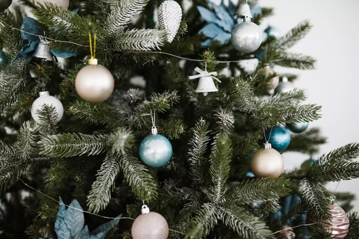 Làm thế nào để trang trí cây Giáng sinh màu xanh lam? 30 ảnh Làm thế nào để ăn mặc với những quả bóng và các trang trí khác trong tông màu xanh và bạc? 7627_23