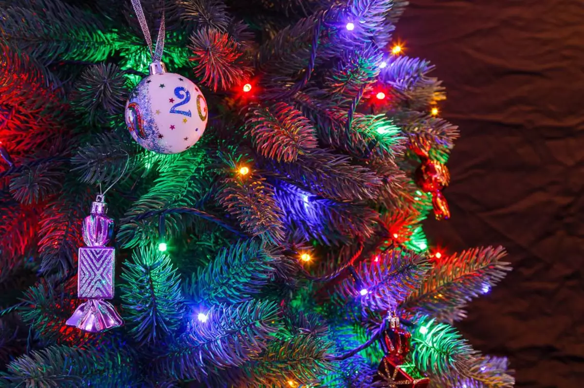 Ako zdobí vianočný strom s vencom? Ako správne a krásne obliekať to podľa schémy s žiariace elektrickej girlandami a ďalšie veniec? 7630_11