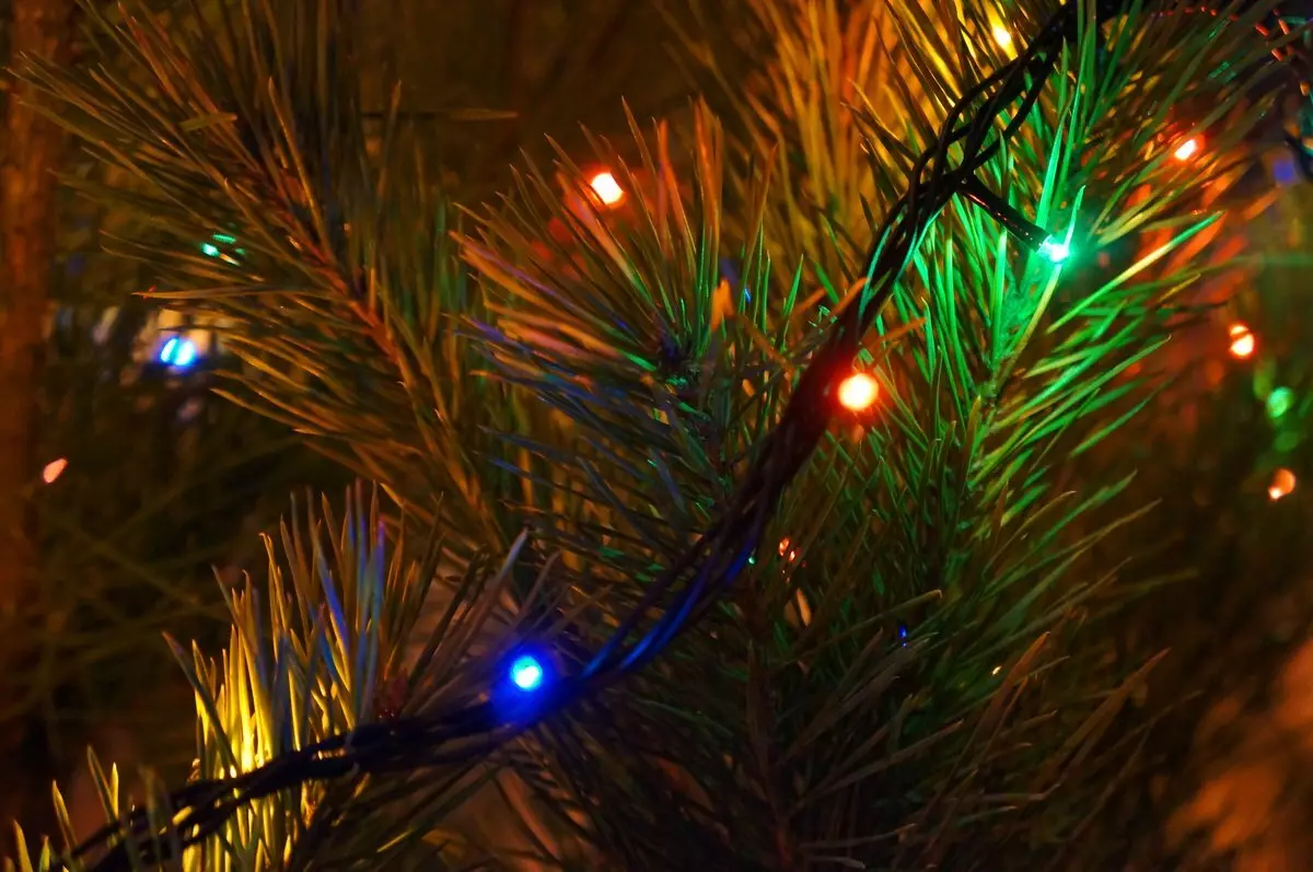 Ako zdobí vianočný strom s vencom? Ako správne a krásne obliekať to podľa schémy s žiariace elektrickej girlandami a ďalšie veniec? 7630_12