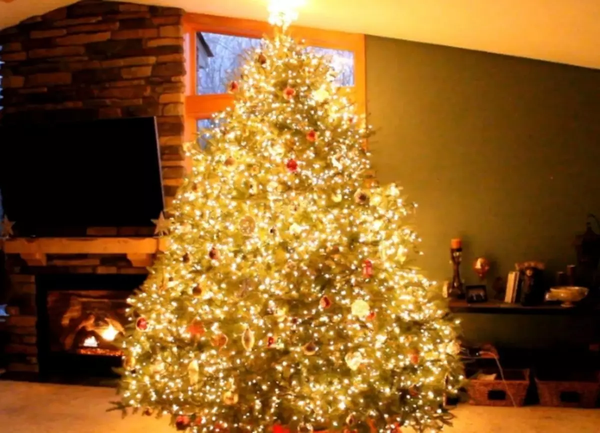 Ako zdobí vianočný strom s vencom? Ako správne a krásne obliekať to podľa schémy s žiariace elektrickej girlandami a ďalšie veniec? 7630_28