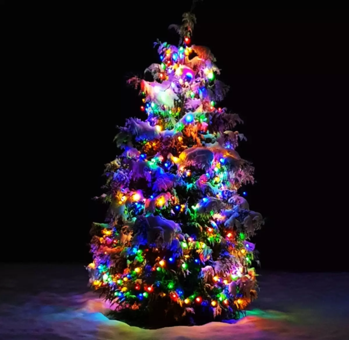 Ako zdobí vianočný strom s vencom? Ako správne a krásne obliekať to podľa schémy s žiariace elektrickej girlandami a ďalšie veniec? 7630_29