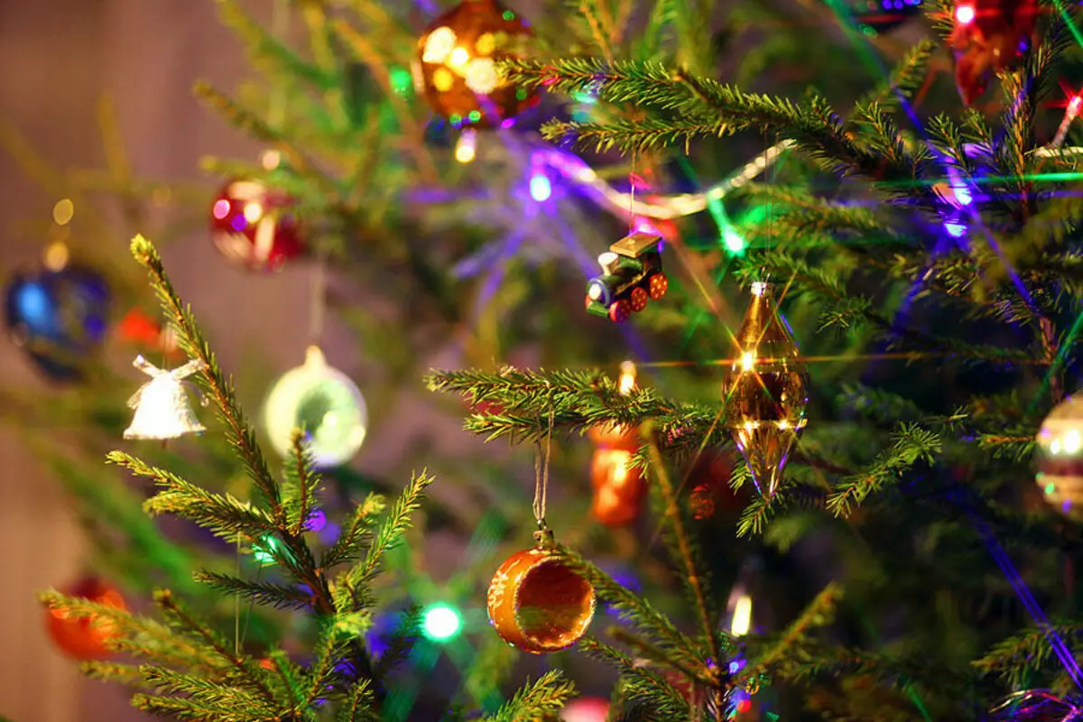 Ako zdobí vianočný strom s vencom? Ako správne a krásne obliekať to podľa schémy s žiariace elektrickej girlandami a ďalšie veniec? 7630_34