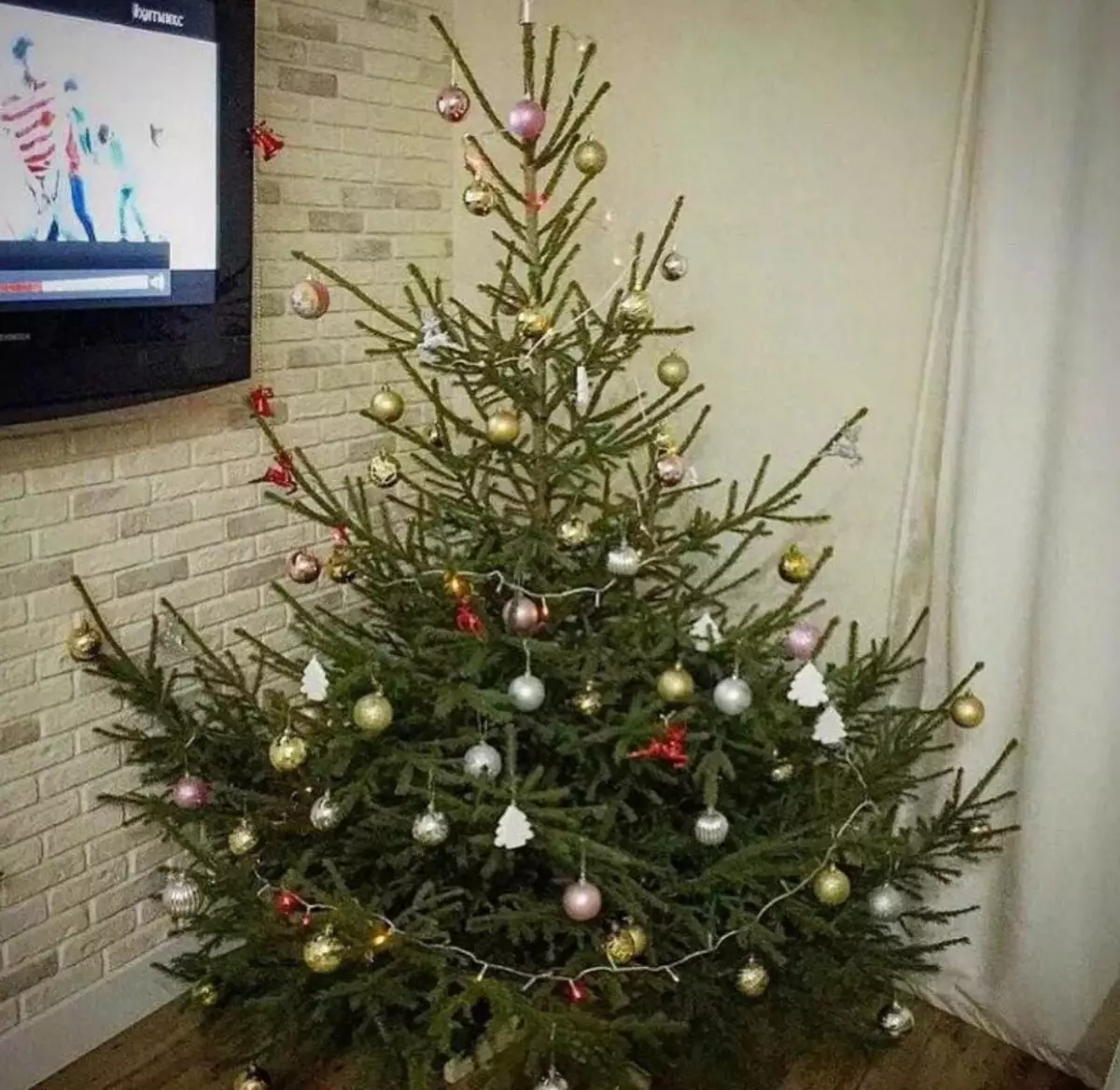 Wie man einen Live-Baum dekoriert? 45 Fotos, wie man sich auf dem neuen Jahr zu Hause echte Kiefer oder Tanne kleiden? 7637_10