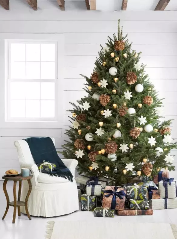 如何裝飾一棵活著的樹？ 45張照片如何在新的一年裡在家裡真正的松樹或冷杉的裝扮？ 7637_13