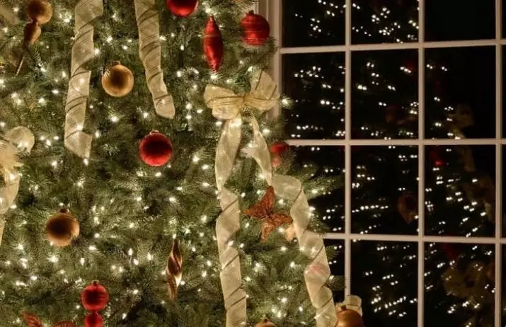如何裝飾一棵活著的樹？ 45張照片如何在新的一年裡在家裡真正的松樹或冷杉的裝扮？ 7637_38