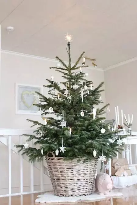 Como decorar uma árvore viva? 45 Fotos Como vestir-se lindamente em casa pinho real ou abeto no ano novo? 7637_45