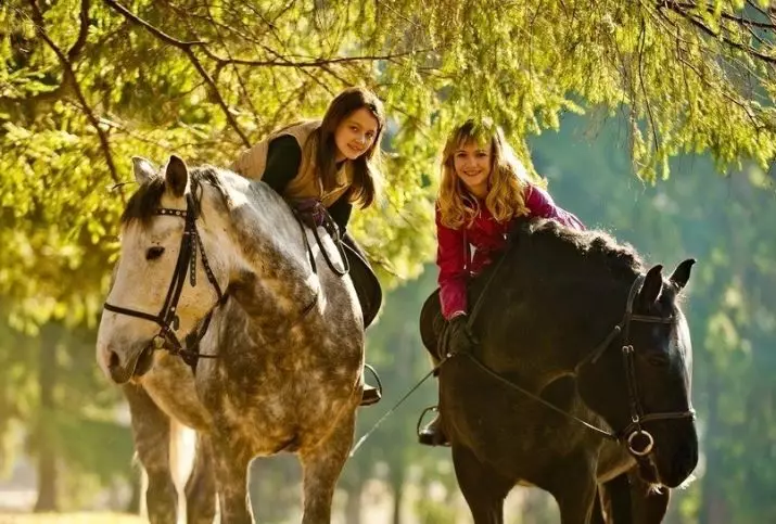 الانطباع الهدية: السفر المدقع و المشي الخيل، مغامرات السعي والهدايا الأخرى، إعطاء عواطف مشرقة 7725_20