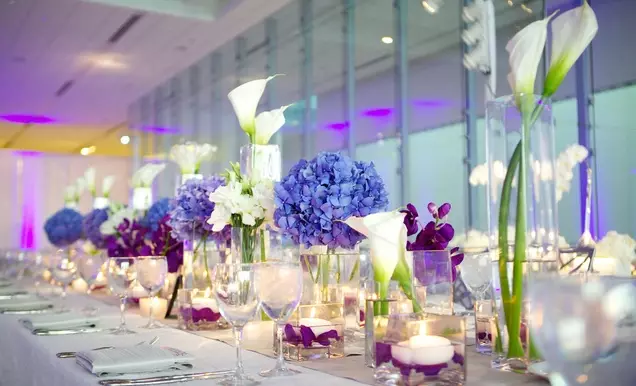 Purpura kāzas (60 fotogrāfijas): kāzu fona apdares idejas baltā violetā krāsā. Kāda ir piesātināta violeta tonis kāzās? 7792_51