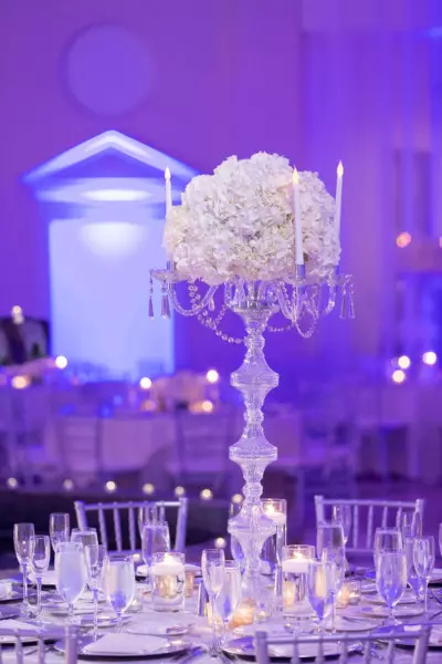 Purpura kāzas (60 fotogrāfijas): kāzu fona apdares idejas baltā violetā krāsā. Kāda ir piesātināta violeta tonis kāzās? 7792_6