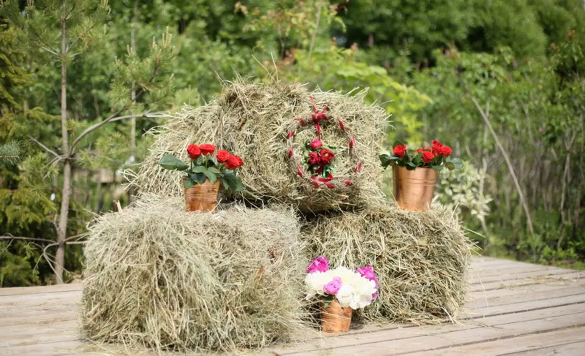 Kaimiškas vestuvės: šventės aprašymas ir tradicija kaimo stiliaus 7801_9