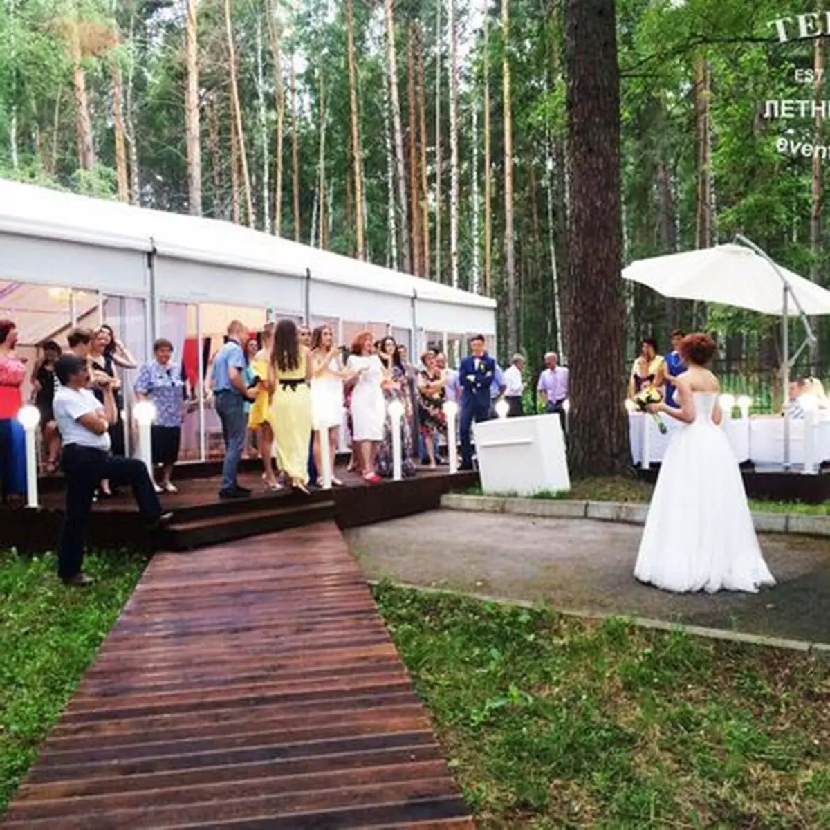Vjenčanje u prirodi (71 fotografije): Ideje dizajna šatora i vjenčanja bankete za registraciju polja proračuna, izbor stranice i natjecanja 7812_26
