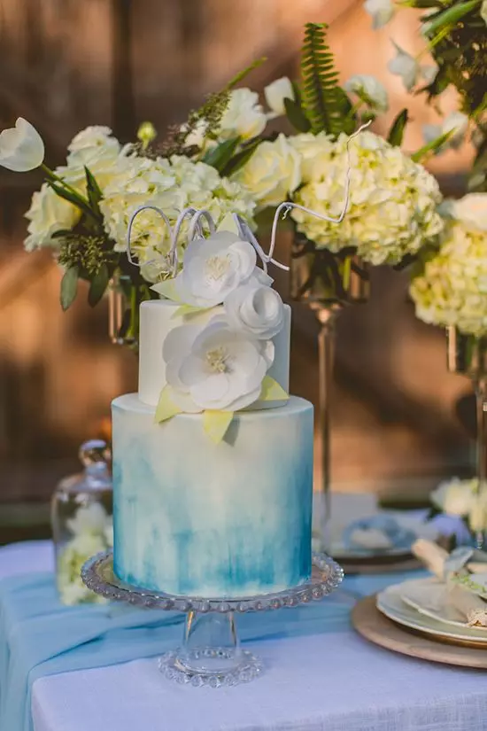 عروسی در رنگ آبی (62 عکس): ایده هایی برای طراحی پس زمینه عروسی سفید و نرم، سروو و آسمانی، آبی و هلو آبی رنگ 7854_3