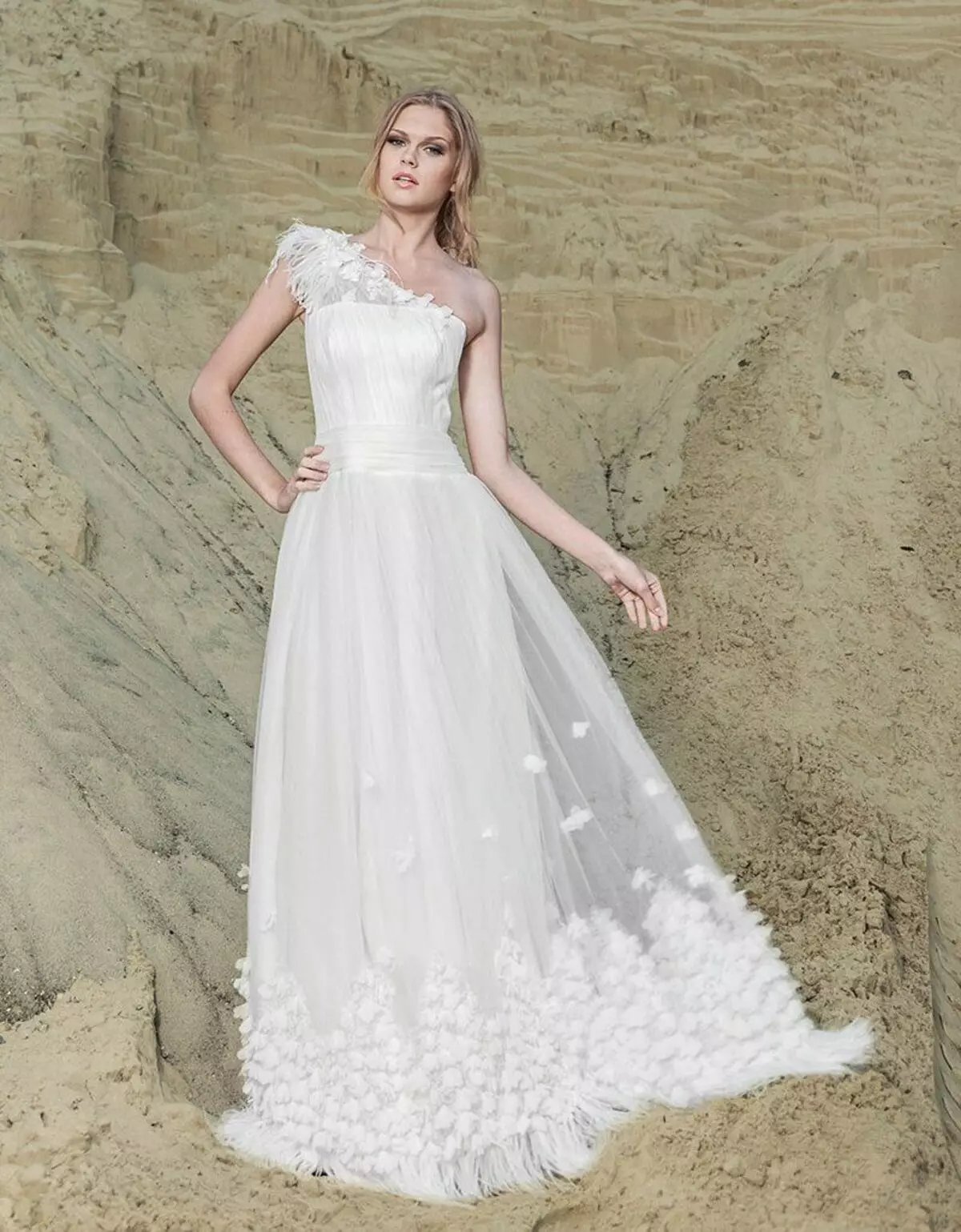 bir çiyin 2014 Collection Anne-Mariee olan Wedding dress