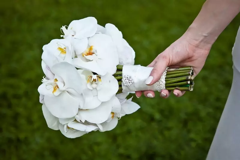 ດອກໄມ້ໃນ bouquet ຂອງ bride ໄດ້ (71 ຮູບ): ຊື່ຂອງພືດ wedding ຕາມລະດູການທີ່ດີທີ່ສຸດ 7980_19