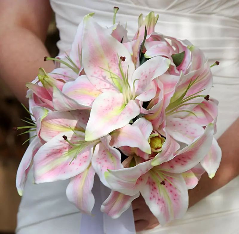 ດອກໄມ້ໃນ bouquet ຂອງ bride ໄດ້ (71 ຮູບ): ຊື່ຂອງພືດ wedding ຕາມລະດູການທີ່ດີທີ່ສຸດ 7980_22