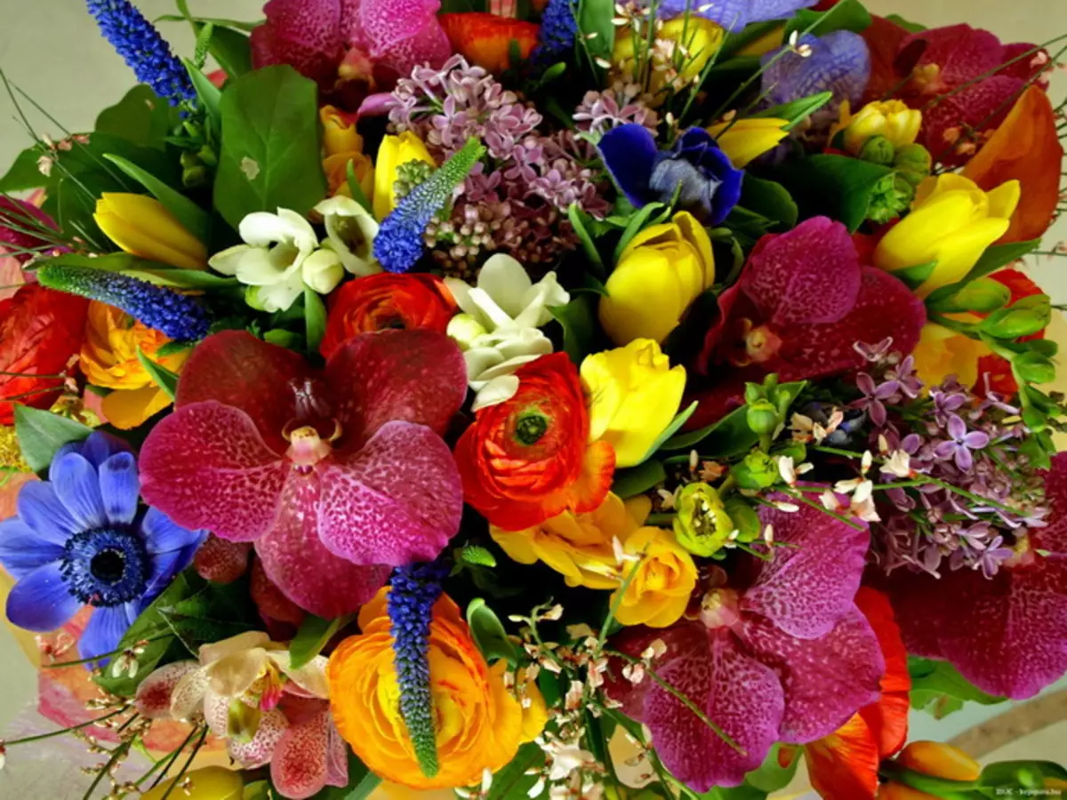 Bouquet kā dāvana kāzu jaunlaulātajiem (113 fotogrāfijas): kādi ziedi dod jauniem vecākiem un viesiem? 7987_38