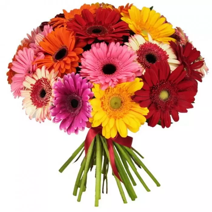 Bouquet kot darilo za poročne novice (113 fotografij): Kaj cvetje dajejo mladim od staršev in gostov? 7987_62