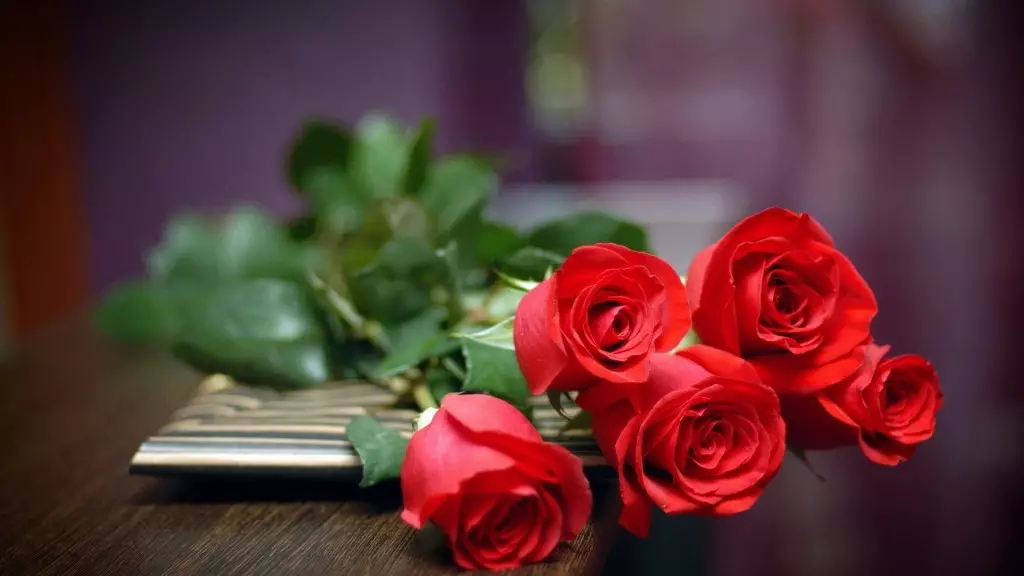 Bouquet da sposa di rose rosse (58 foto): composizioni di nozze con piccola fresia e gypsophila 7996_15