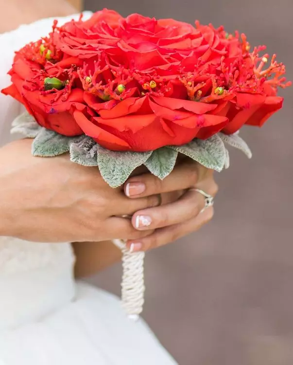 Bridar Bouquet of Red Roses (58 ata): Faʻaipoipoga o loʻo tuʻufaʻatasia ma tamai Freesa ma Gypsophila 7996_19