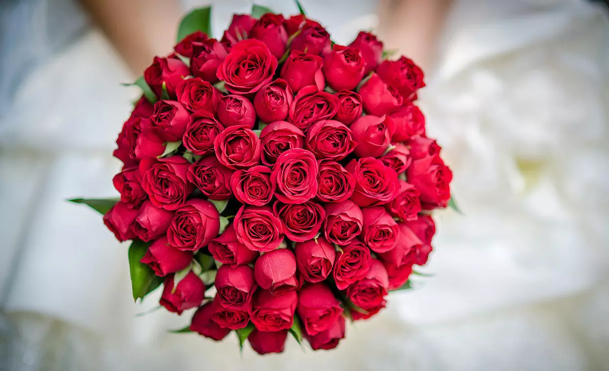 Bouquet da sposa di rose rosse (58 foto): composizioni di nozze con piccola fresia e gypsophila 7996_30