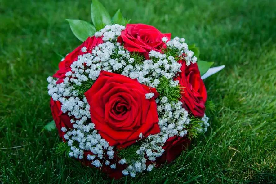 Bridar Bouquet of Red Roses (58 ata): Faʻaipoipoga o loʻo tuʻufaʻatasia ma tamai Freesa ma Gypsophila 7996_44