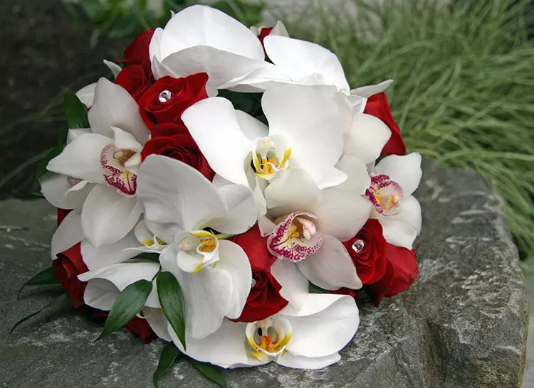 Bridar Bouquet of Red Roses (58 ata): Faʻaipoipoga o loʻo tuʻufaʻatasia ma tamai Freesa ma Gypsophila 7996_52