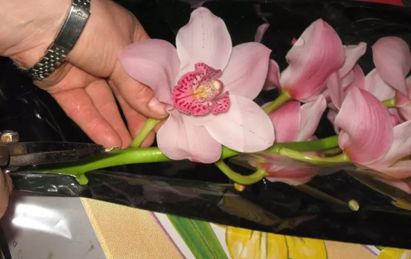 Svadbeni buket iz orhideja (49 fotografija): buketi orhideja s bijelim ružama i plavim mlinicama 7998_6