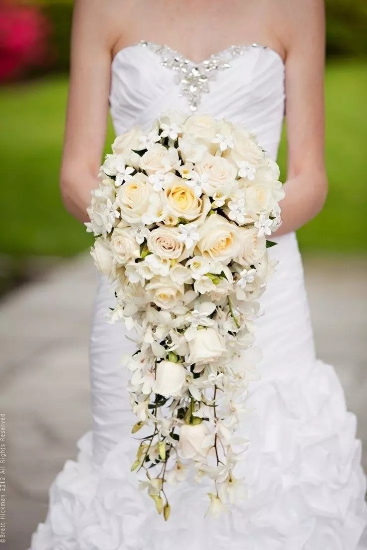 Menyasszonyi csokor rózsa (74 fotók): Esküvői készítmények készült rózsa fehér eustomas, kék freesies és piros alstromeries 8005_11