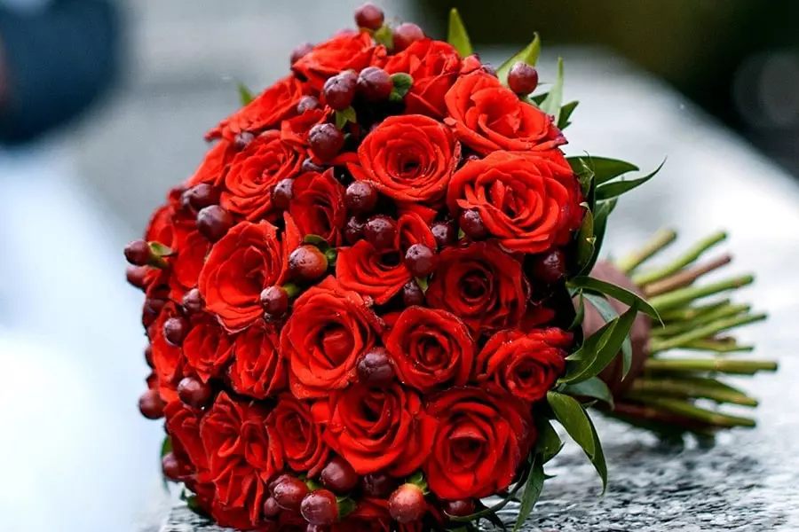 Poročna šopek vrtnic (74 fotografij): Poročne kompozicije iz vrtnic z belimi Eustomas, modrimi freesies in rdečimi altromerji 8005_24