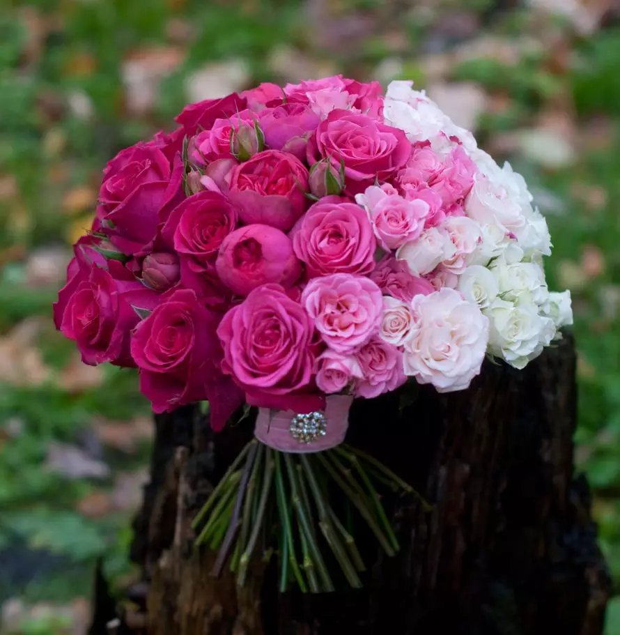 新娘花束玫瑰（74张）：婚礼作品由玫瑰制成与白色eustomas，蓝色弗雷酸和红色盛门 8005_41