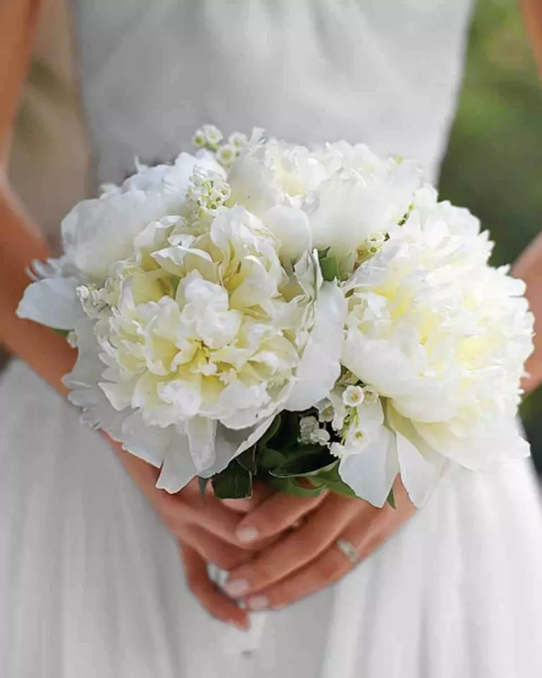 Bridal Bouquet vu pionesche Rosen (53 Fotoen): Wielt eng Hochzäit Bouquet mat pionesche Rosen, wäisse Mills a rout Hydrangas 8007_36