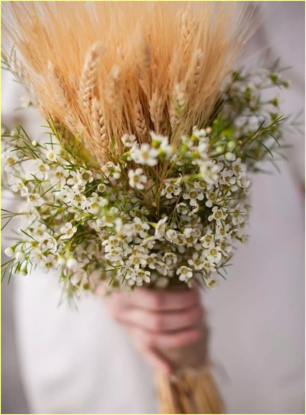 Bridal boucuquet ۋە گىرىم بوسۇبېننى (29 پارچە): توي زاپچاسلىرىنى تاللاڭ. Boutonniere ۋە تويىدا بىر دەستە بىرلەشتۈرۈشنى قانداق بىرلەشتۈرۈش كېرەك? 8011_25