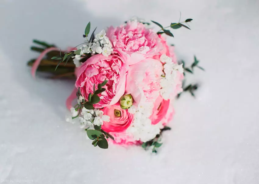 Свадбени букет пенија (108 фотографија): Комбинације са белим хидрангејима и црвеним позивима, комбинације Бургундија, Лила и љубичастом цветовима у венчаном буку 8013_13