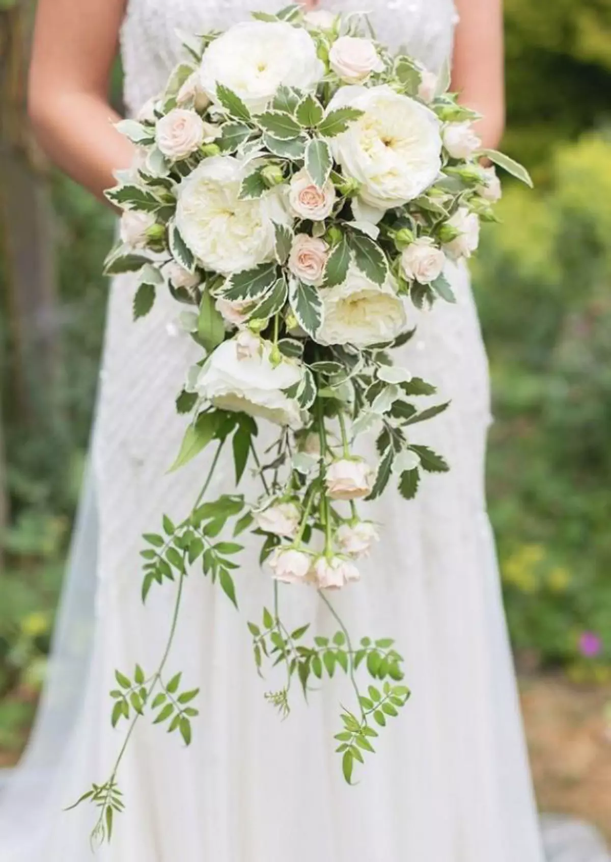 Bruiloft boeket van pioenrozen (108 foto's): combinaties met witte hydrieren en rode callas, combinaties van Bourgondië, lila en paarse bloemen in een huwelijksboeket 8013_32