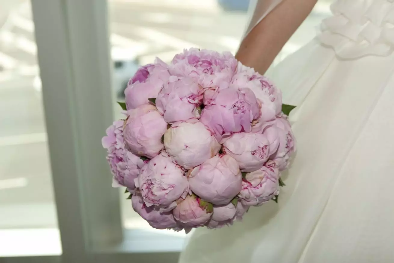 Свадбени букет пенија (108 фотографија): Комбинације са белим хидрангејима и црвеним позивима, комбинације Бургундија, Лила и љубичастом цветовима у венчаном буку 8013_56