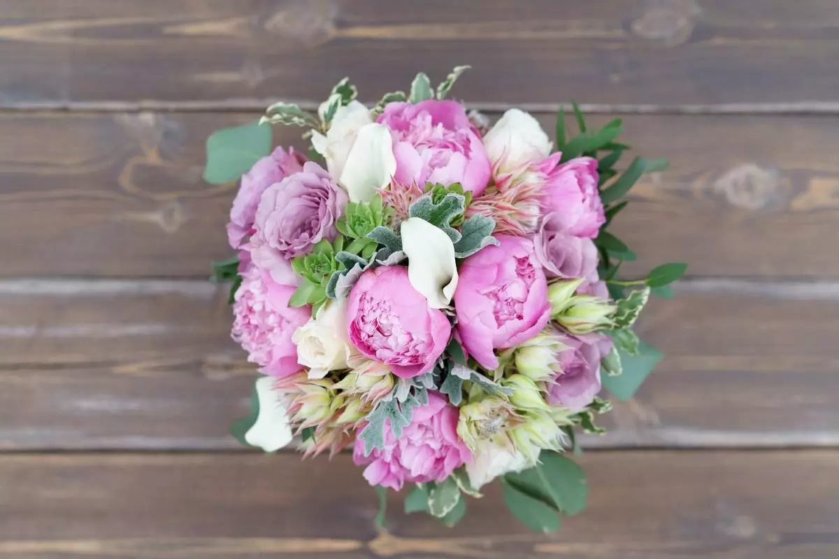 모란의 결혼식 꽃다발 (108 사진) : 흰색 수문과 빨간 칼라와의 조합, 결혼식 꽃다발의 부르고뉴, 라일락 및 자주색 꽃의 조합 8013_77