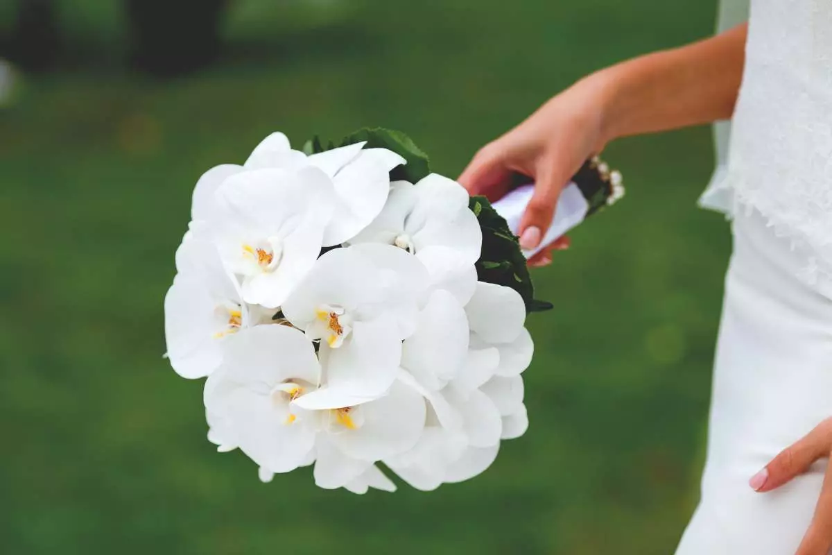 Білий букет нареченої (81 фото): ідеї весільного букета з тюльпанів, поєднуємо білий з персиковим і чорним, бежевим і ліловим кольорами 8015_33