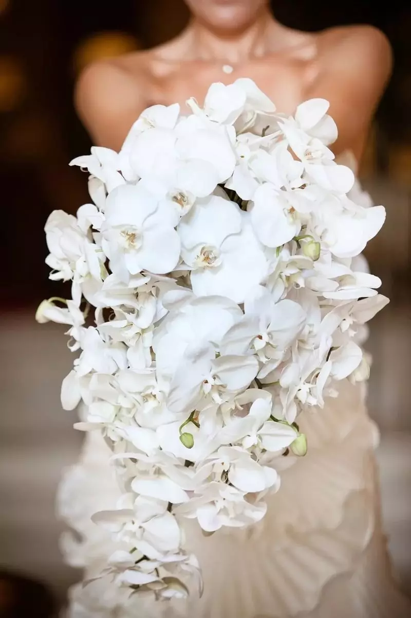 Білий букет нареченої (81 фото): ідеї весільного букета з тюльпанів, поєднуємо білий з персиковим і чорним, бежевим і ліловим кольорами 8015_39