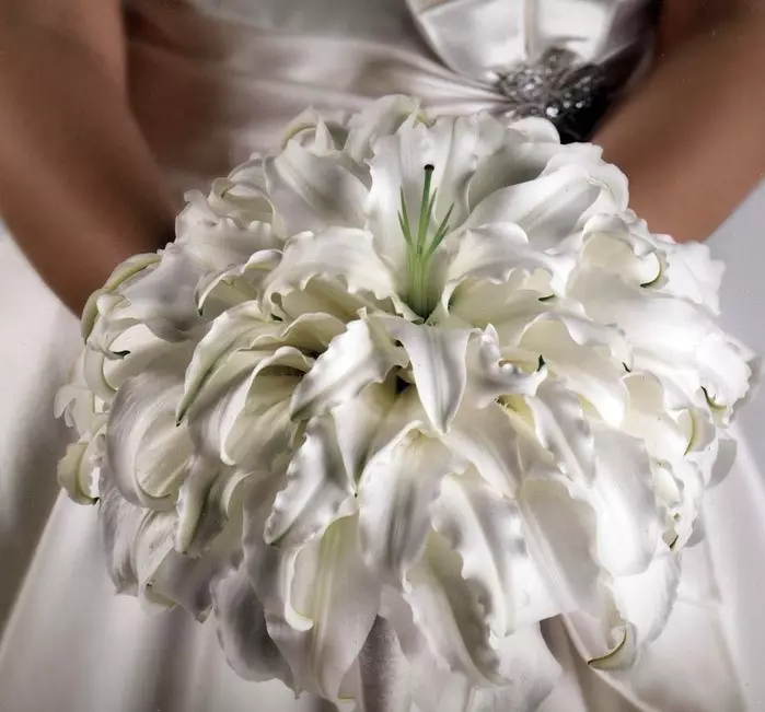 Білий букет нареченої (81 фото): ідеї весільного букета з тюльпанів, поєднуємо білий з персиковим і чорним, бежевим і ліловим кольорами 8015_59