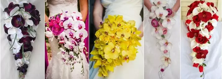 Cascade Bridal Bouquet (49 myndir): Wedding Bouquet Cascade frá Long Hanging Roses og Orchids 8018_27