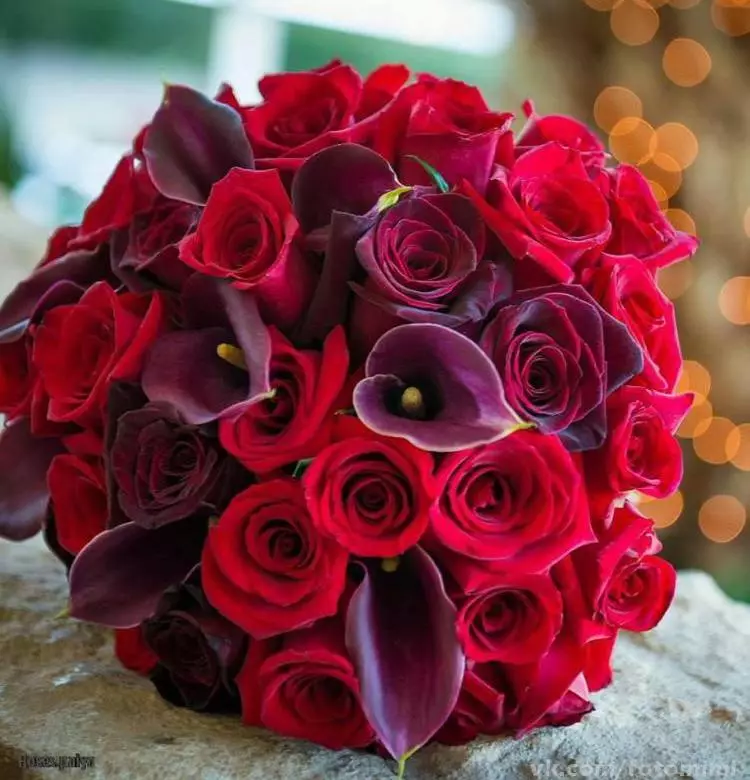წითელი საქორწილო ბუკეტი (76 ფოტო): აირჩიეთ საქორწინო ბუკეტი ყვავილებით ლურჯი წითელი ტონებით, გერბერებისა და ლენტებით 8019_12