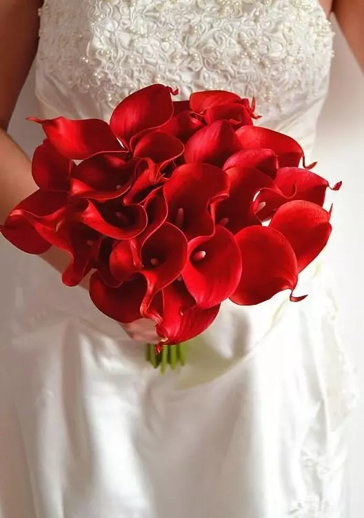 წითელი საქორწილო ბუკეტი (76 ფოტო): აირჩიეთ საქორწინო ბუკეტი ყვავილებით ლურჯი წითელი ტონებით, გერბერებისა და ლენტებით 8019_27