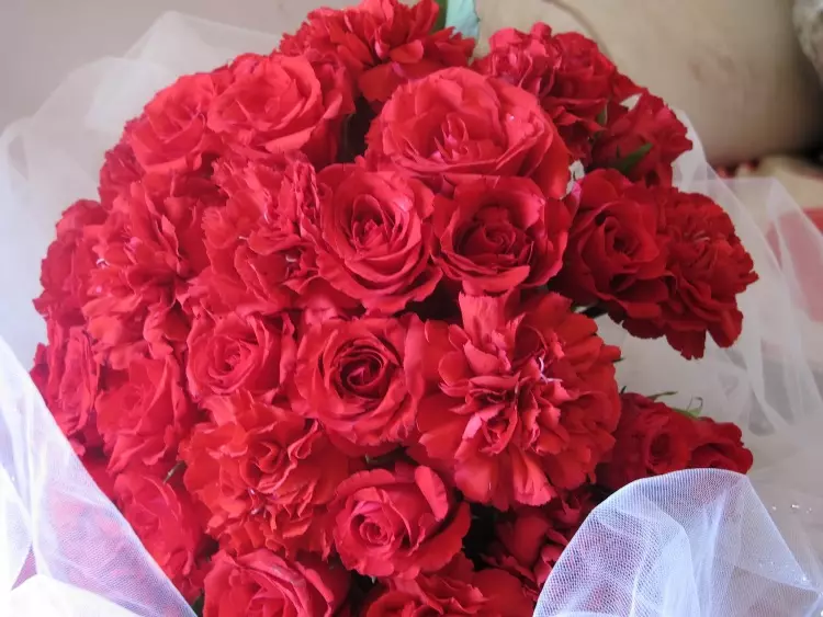 წითელი საქორწილო ბუკეტი (76 ფოტო): აირჩიეთ საქორწინო ბუკეტი ყვავილებით ლურჯი წითელი ტონებით, გერბერებისა და ლენტებით 8019_29