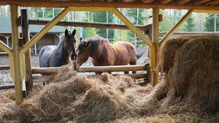 8 aastat pärast pulmi (24 fotot): Miks on ühine elu kaheksas aastapäev nimega tina? Tähistage abielu alates kaheksa aastat 8069_5