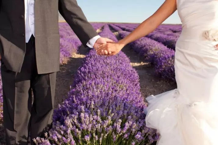 46 tahun setelah pernikahan: Apa nama peringatan hidup bersama? Apa yang orang tua berikan kepada pernikahan lavender? 8108_3