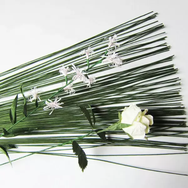 חוט פרחוני: חוט Gerberic עבור פרחים, ירוק, לבן וריאציות אחרות של גדלים שונים, חוט bulconus. מה נדרש? 8169_13