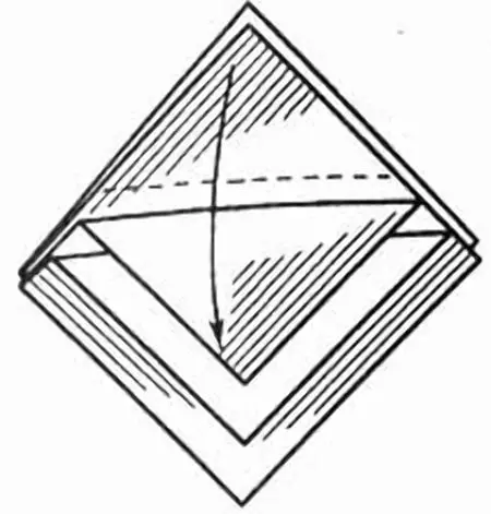 Faʻafefea ona piili solosolo? 107 ata Faʻafefea ona faʻasolo atu oloa mo le faia o se laulau, faʻafefea ona faia se ata matagofie mai le solosolo, faʻafefea ona gagau ma ou lava lima 8227_23